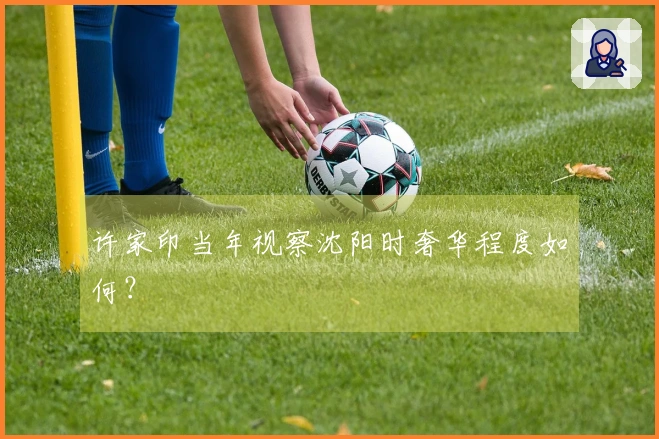 许家印当年视察沈阳时奢华程度如何？