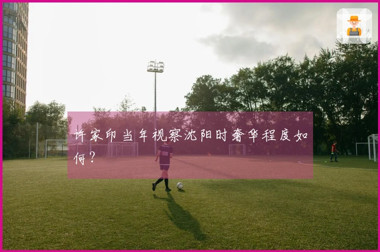 许家印当年视察沈阳时奢华程度如何？